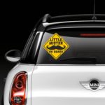 Little Mister On Board