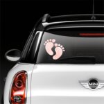 Paws On Board