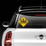 Princess On Board