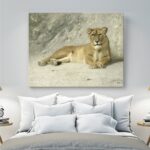 Πίνακας Σε Καμβά Lioness Resting, Jan Van Essen